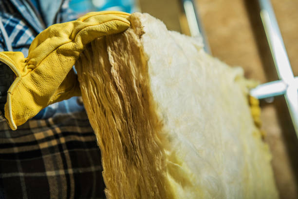 Best Insulation Maintenance and Repair in Tanque Verde, AZ